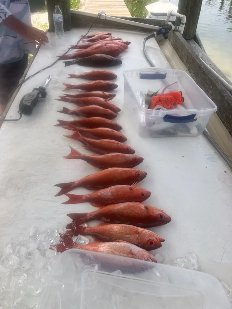 Fishing in Pensacola, Florida