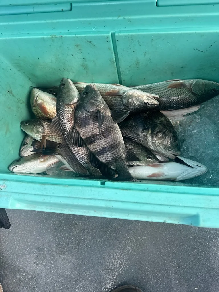 Fishing in Darien, Georgia