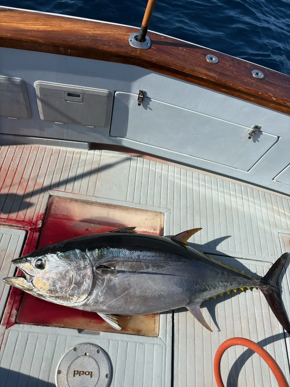 Fishing in San Diego, California