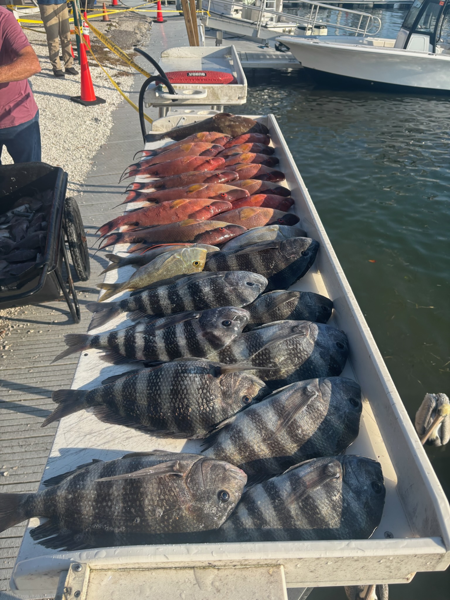Fishing in Holiday, Florida