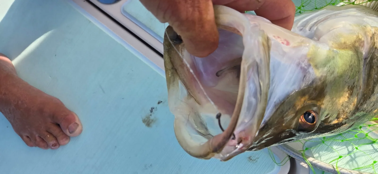 Fishing in Naples, Florida