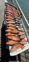 Fishing in Clearwater, Florida