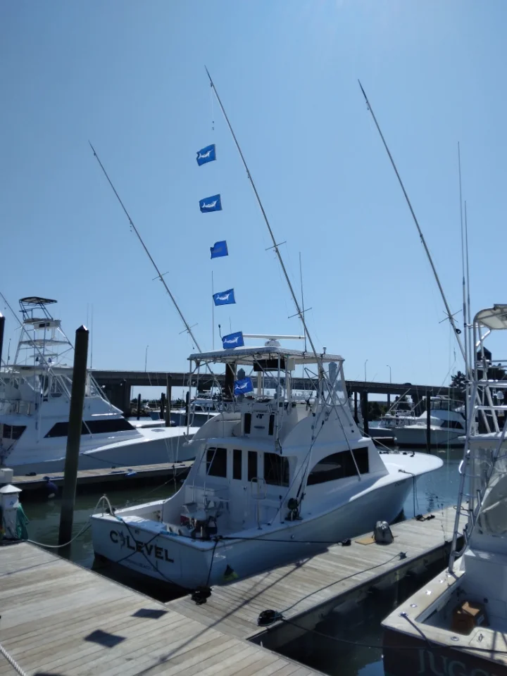 Fishing in Virginia Beach, Virginia