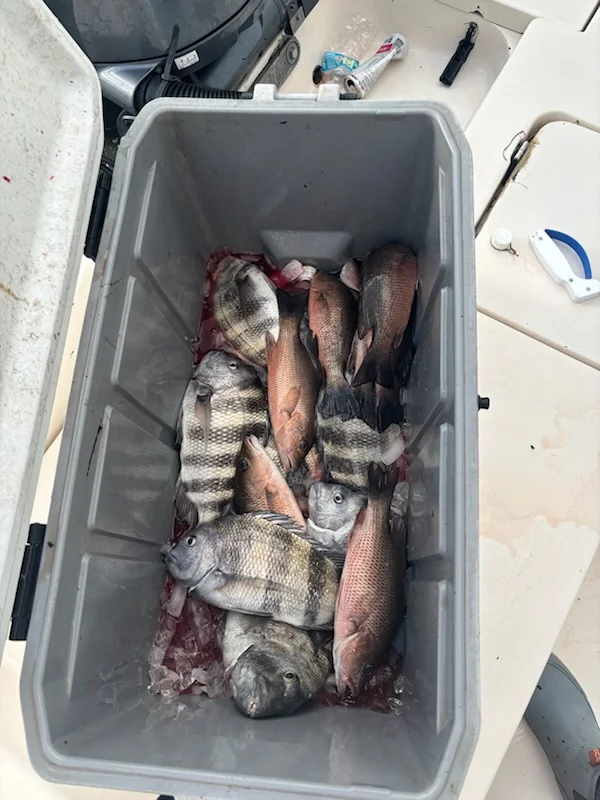 Fishing in Sarasota, Florida