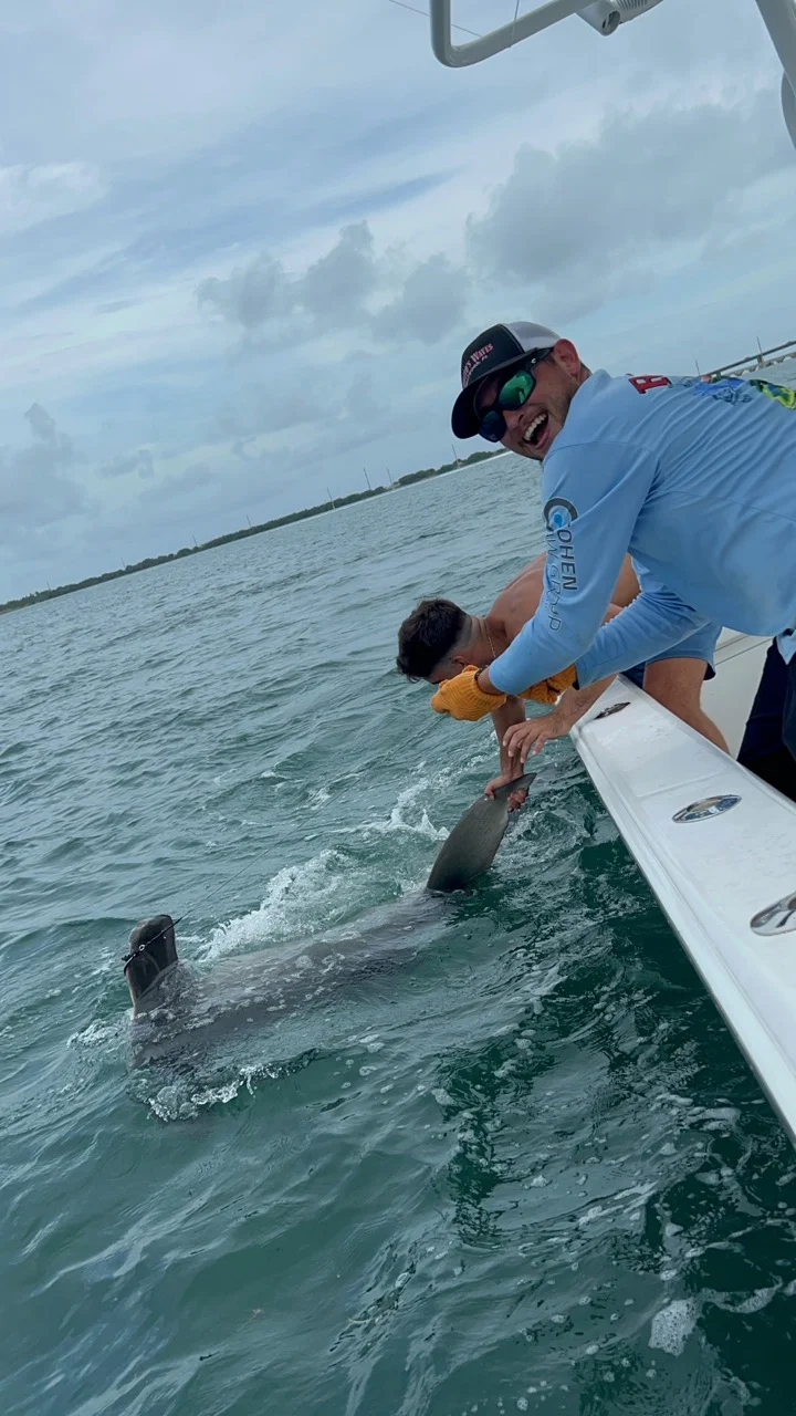 Blue Marlin Fishing in Miami, Florida