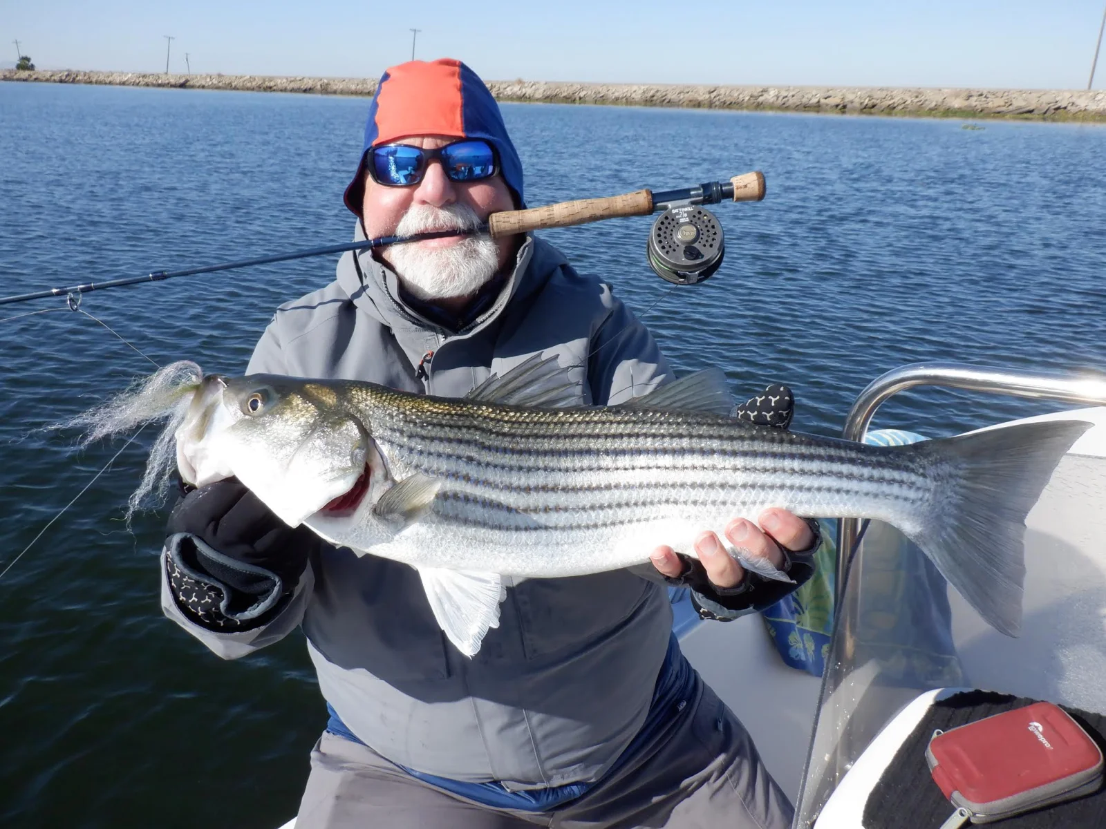 Striped Bass Fishing in Stockton, California