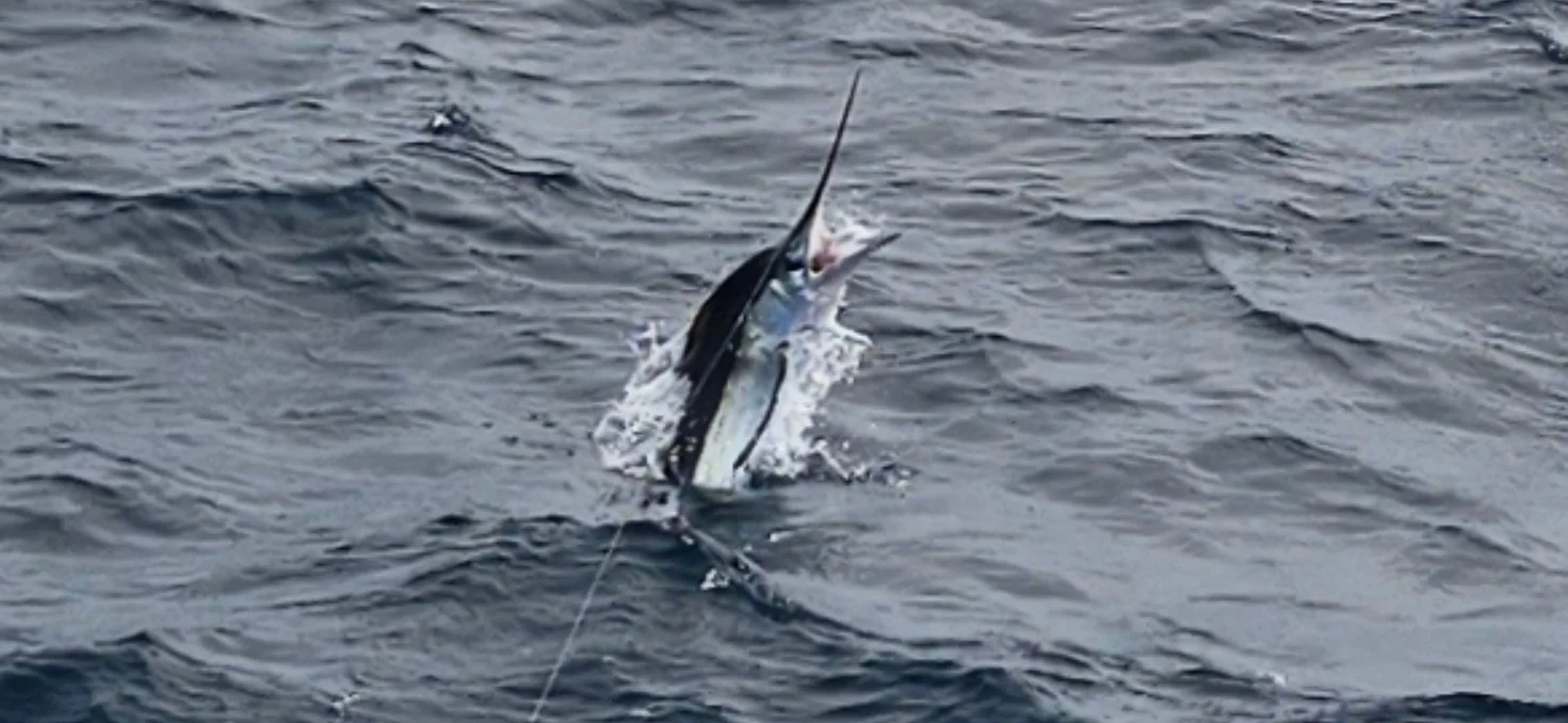 Fishing in Virginia Beach, Virginia