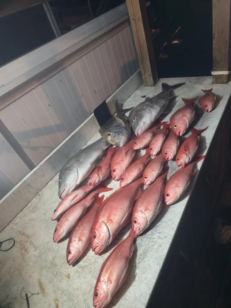 Fishing in Key Largo, Florida