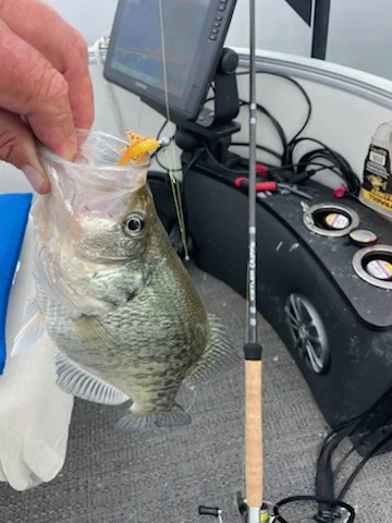 Fishing in Willis, Texas