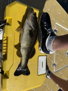 Fishing in Miami, Florida