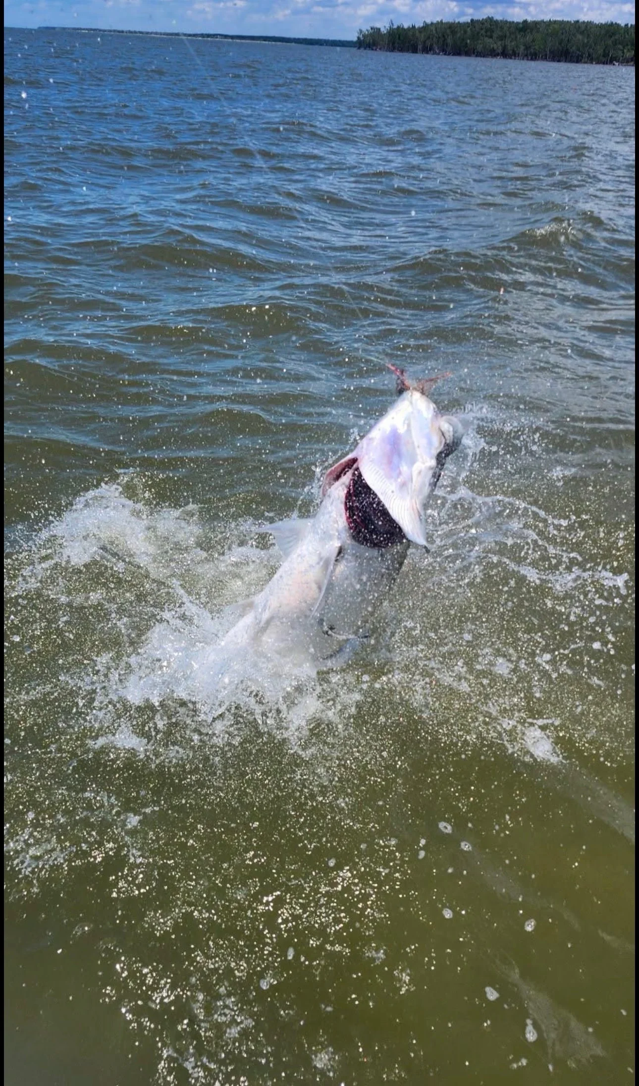 Fishing in Naples, Florida