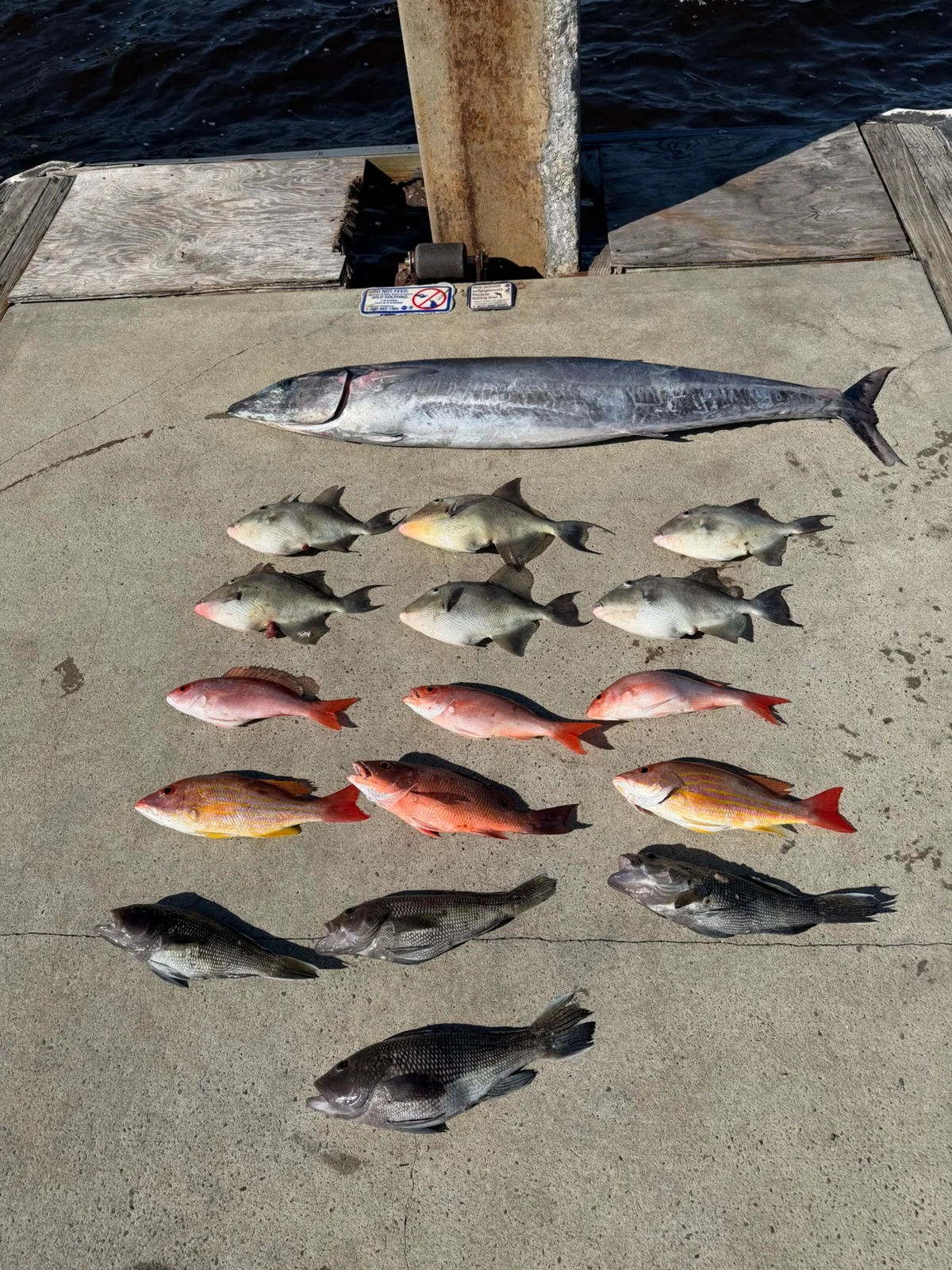 Fishing in Port Orange, Florida