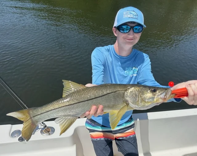 Fishing in St. Petersburg, Florida