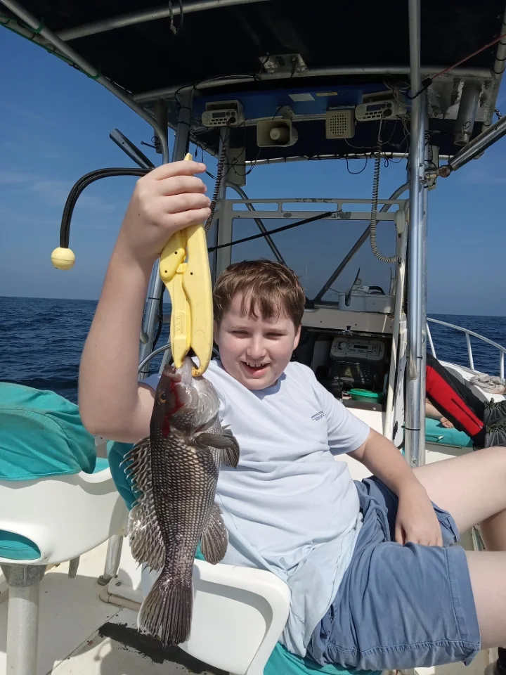 Black Seabass, Triggerfish Fishing in St. Marys, Georgia