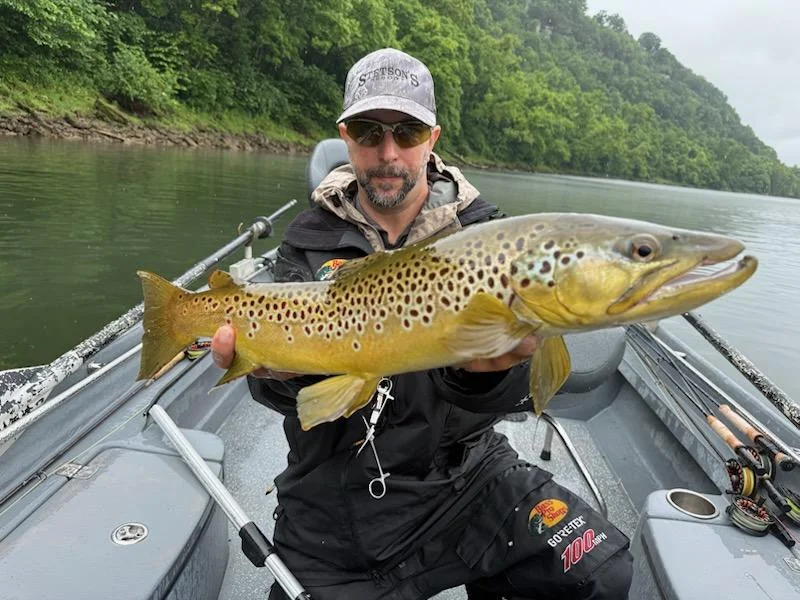 Fishing in Norfork, Arkansas