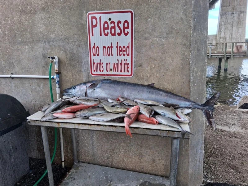 Fishing in Port Orange, Florida