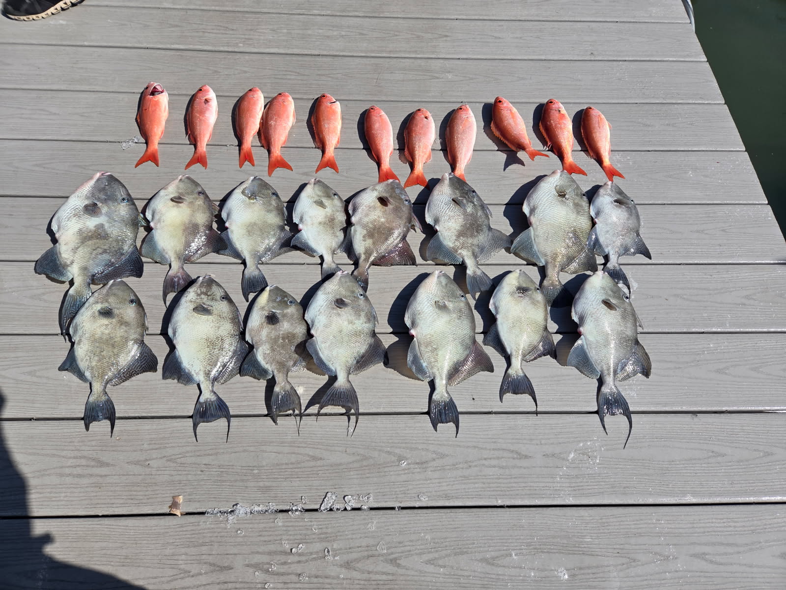 Fishing in Port Orange, Florida
