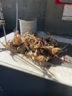 Fishing in Garibaldi, Oregon