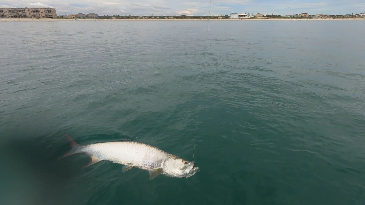 Fishing in New Smyrna Beach, Florida