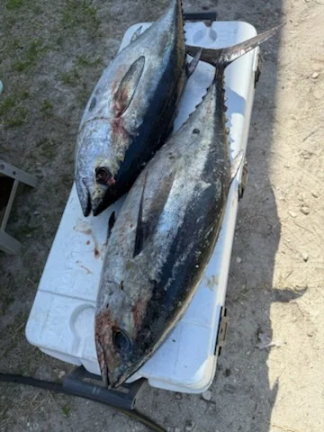 Fishing in Gulf Shores, Alabama
