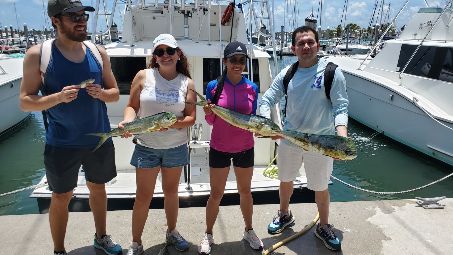 Mahi Mahi / Dorado fishing in Hillsboro Beach, Florida