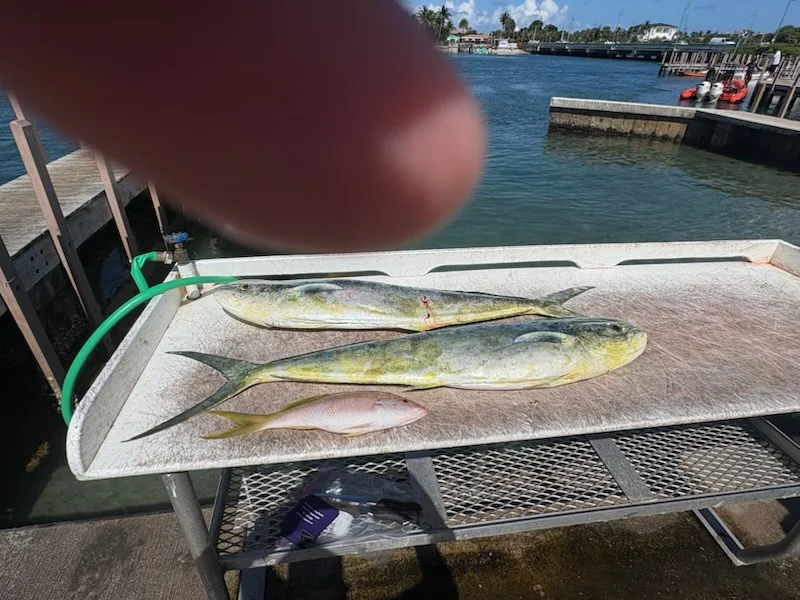 Fishing in Riviera Beach, Florida