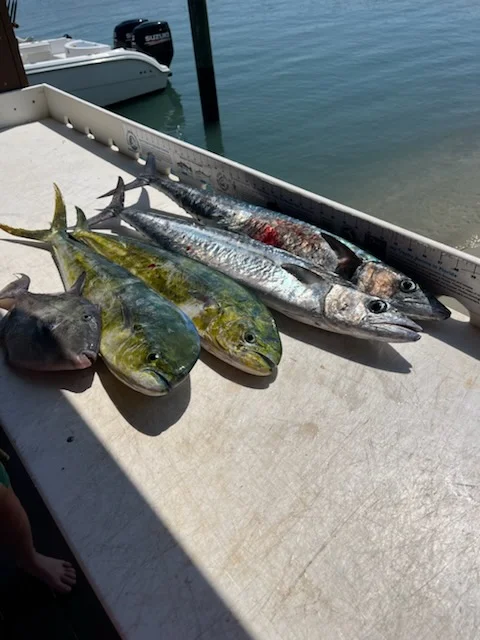 Fishing in Jupiter, Florida