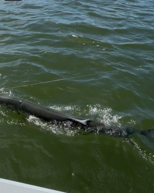 Fishing in Apalachicola, Florida