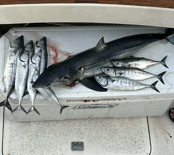 Fishing in Dana Point, California