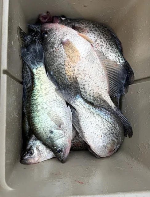 Fishing in Willis, Texas