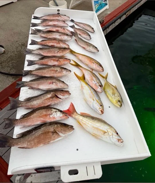 Fishing in Key West, Florida