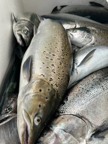 Fishing in Kenosha, Wisconsin