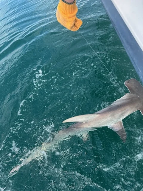 Fishing in Galveston, Texas