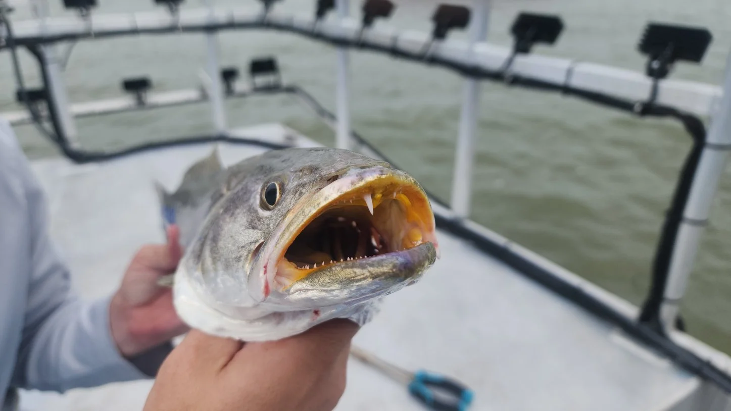Fishing in Galveston, Texas