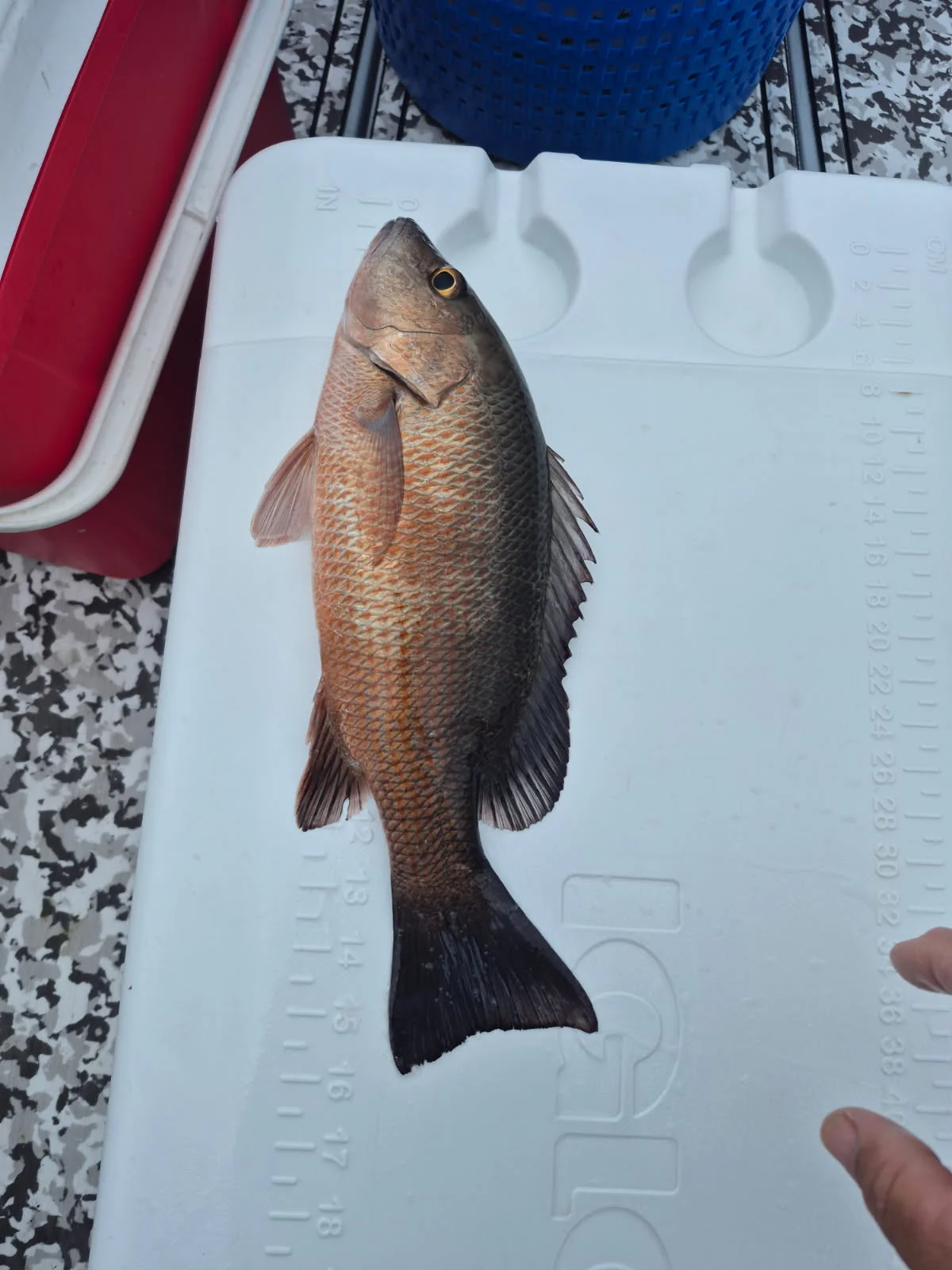 Fishing in Vero Beach, Florida