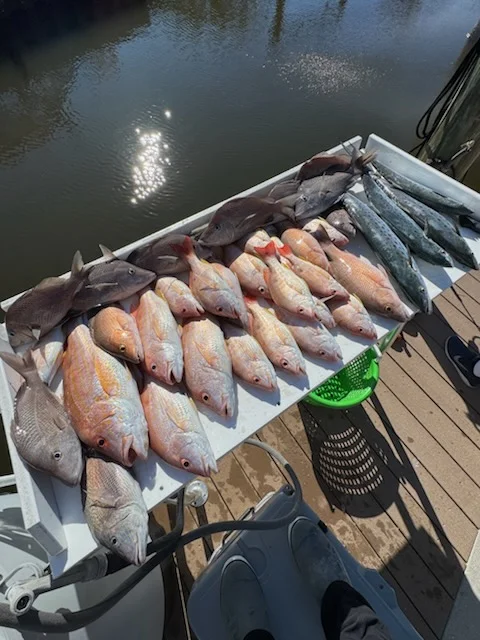 Fishing in Sarasota, Florida