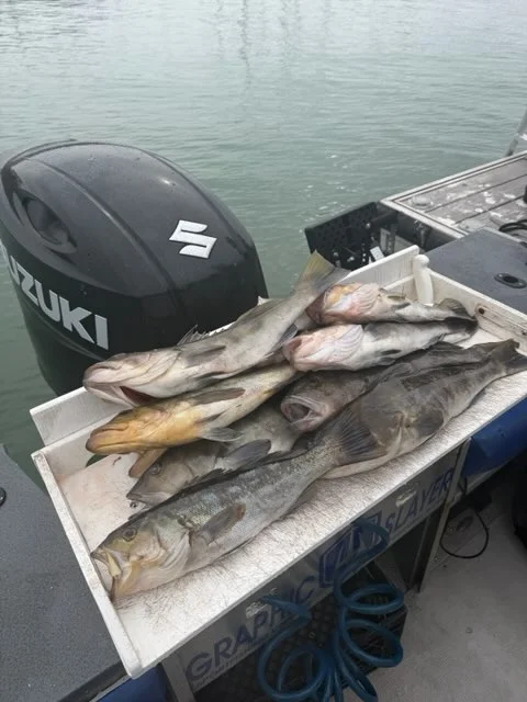 Fishing in Ventura, California