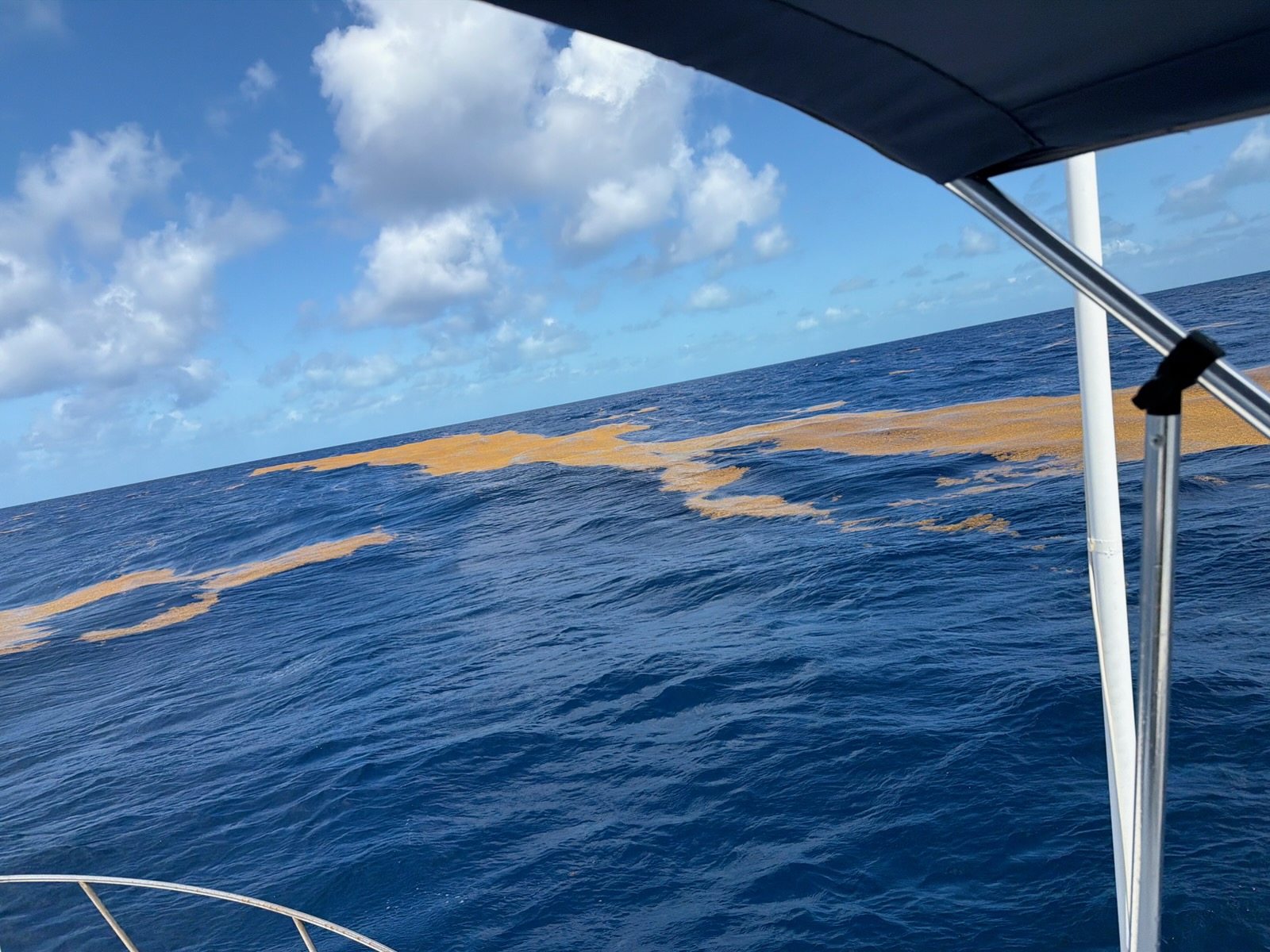 Fishing in Key Largo, Florida