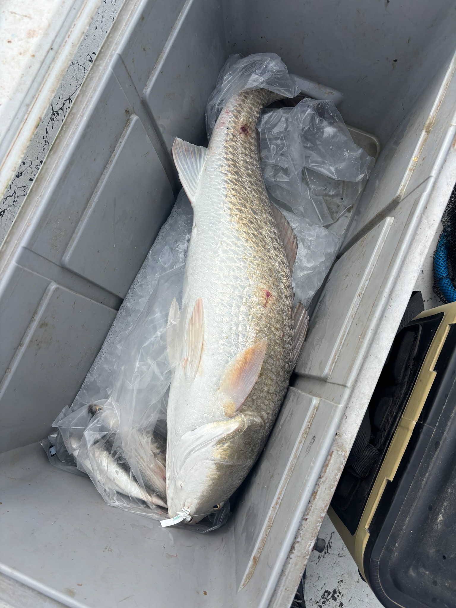 Fishing in Aransas Pass, Texas