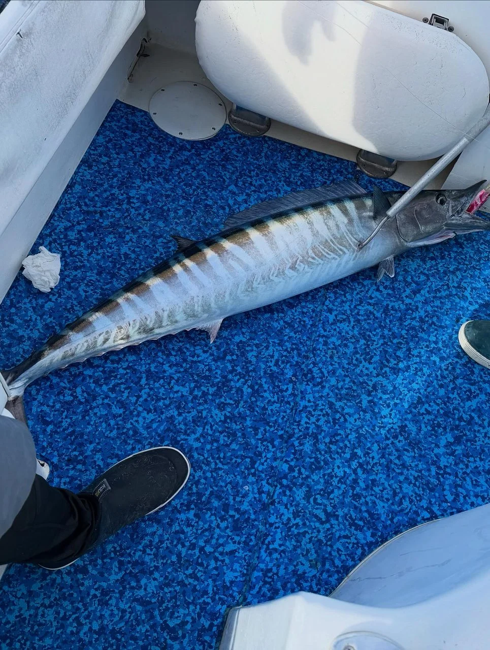 Fishing in Islamorada, Florida