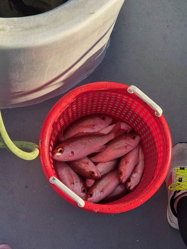Fishing in Fort Walton Beach, Florida