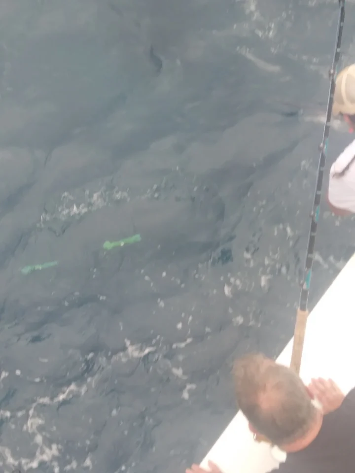 Fishing in Virginia Beach, Virginia