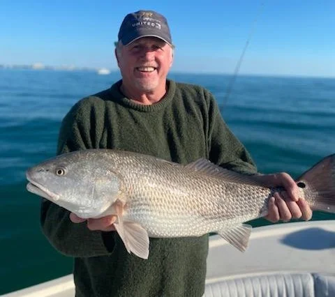 Sheepshead Fishing in Sarasota, Florida