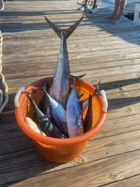 Kingfish Fishing in Destin, Florida