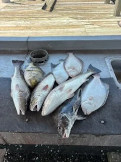 Fishing in Lake Charles, Louisiana