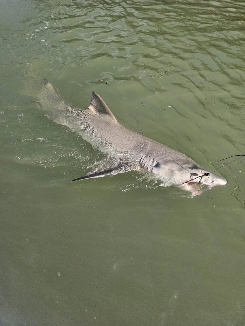 Fishing in Key Largo, Florida