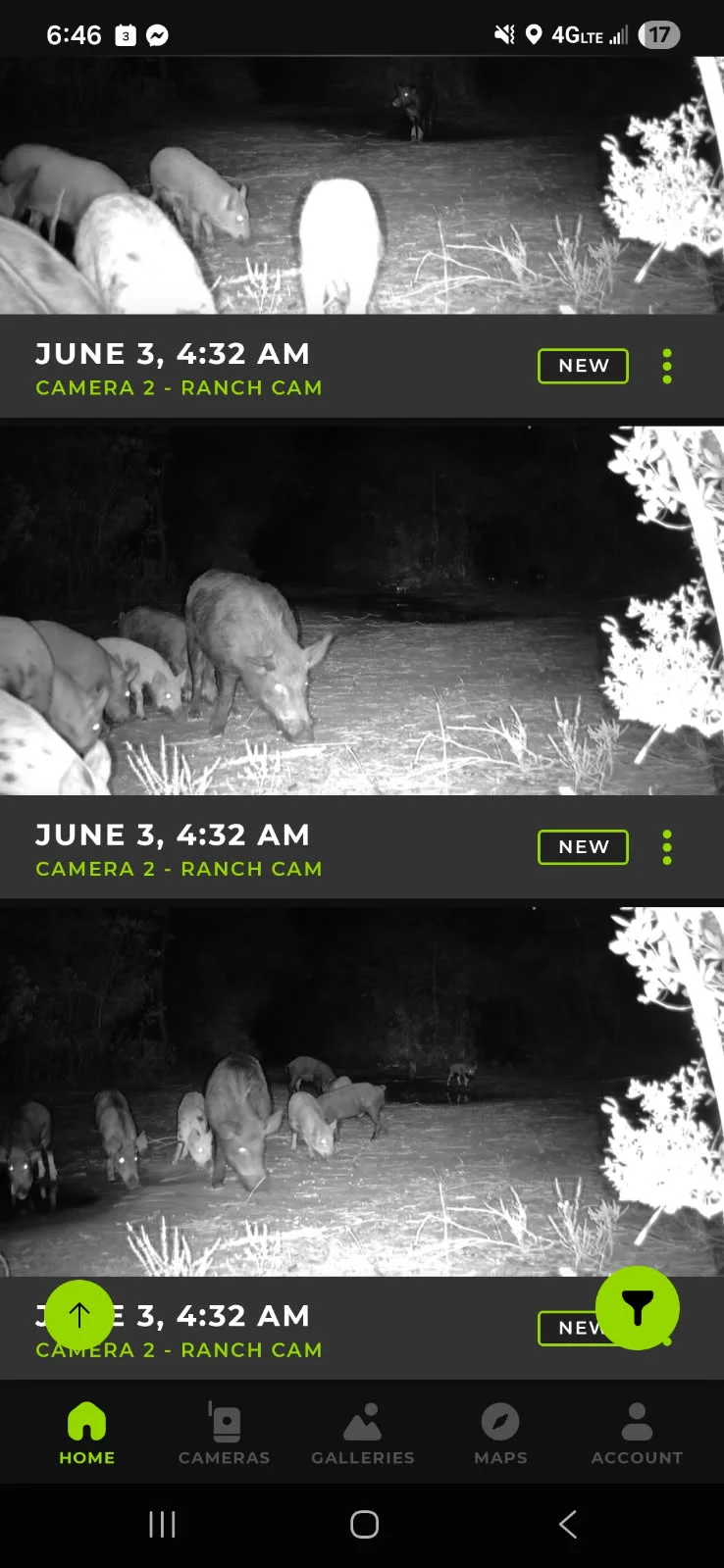 Hunting in Crestview, Florida