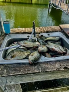 Fishing in Alba, Texas