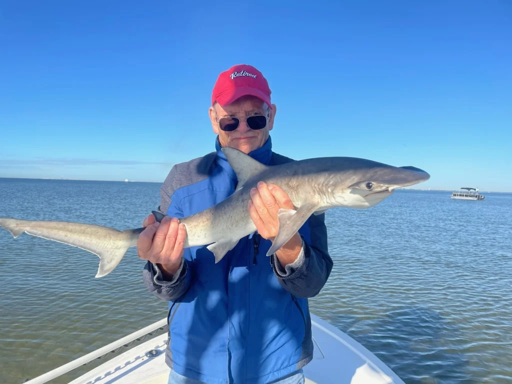 Bull Shark Fishing in Tampa, Florida