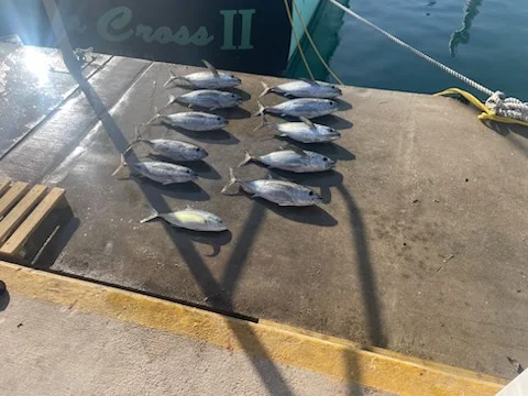 Fishing in Miami, Florida